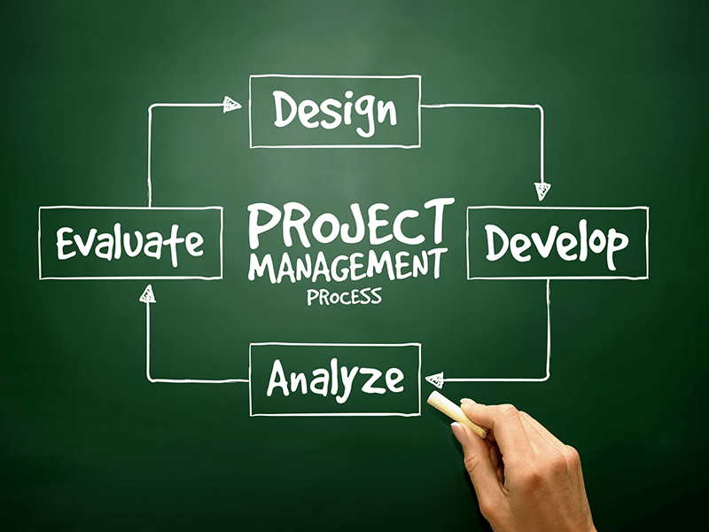 how to ensure adoption of a project portfolio management system based on microsoft project online