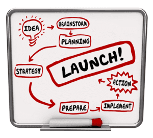 determine a successful launch of a project management system