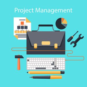 Microsoft Project Online is a robust solution for Project and Portfolio Management