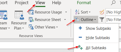 From the View menu in MS Project, select to show all outlines
