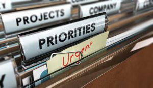 Set Priorities in portfolio analysis