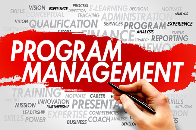 10 Tips for Successful Program Management - program management defined