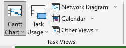 Task Views Group in MS Project